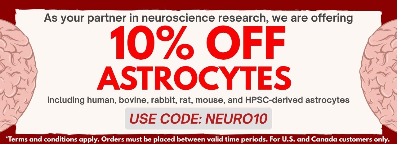 Get 10% Off on ScienCell’s Astrocytes!